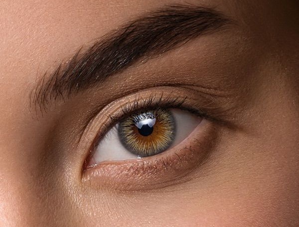 Define Fresh Grayzel